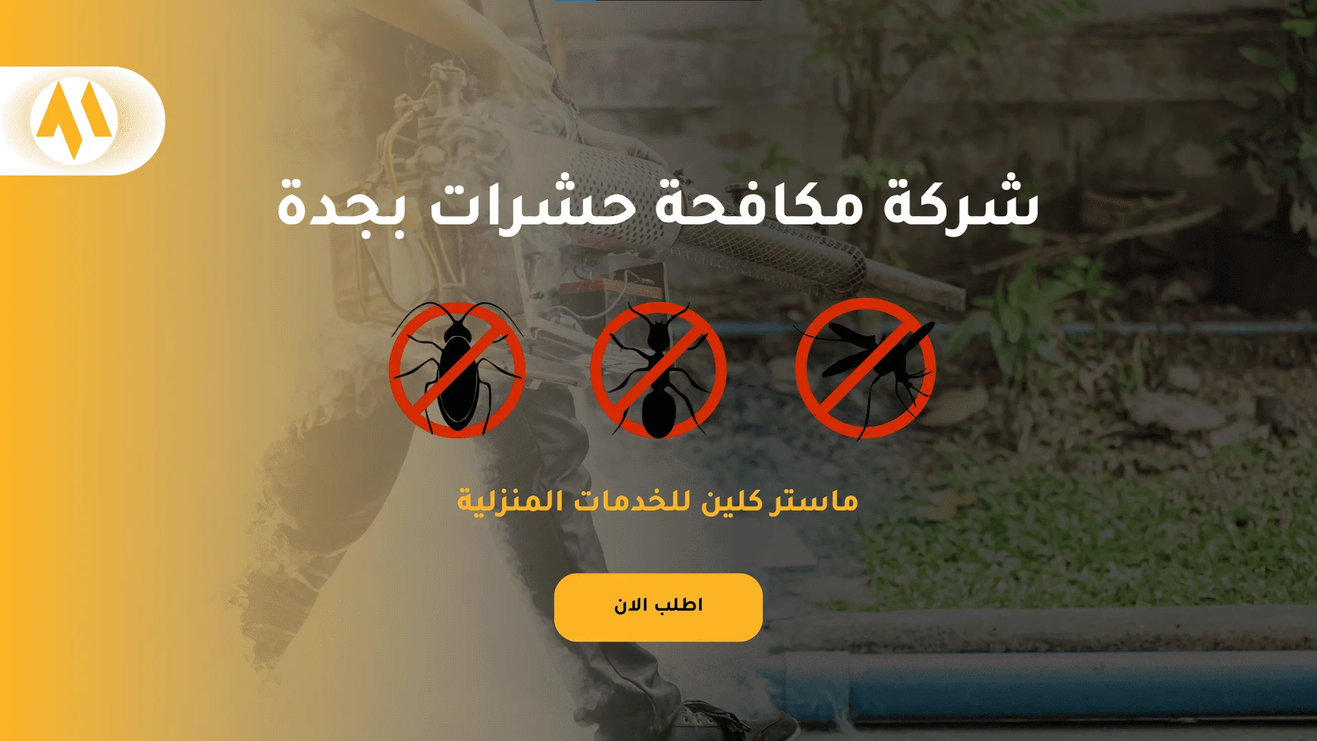 شركة مكافحة حشرات بجدة