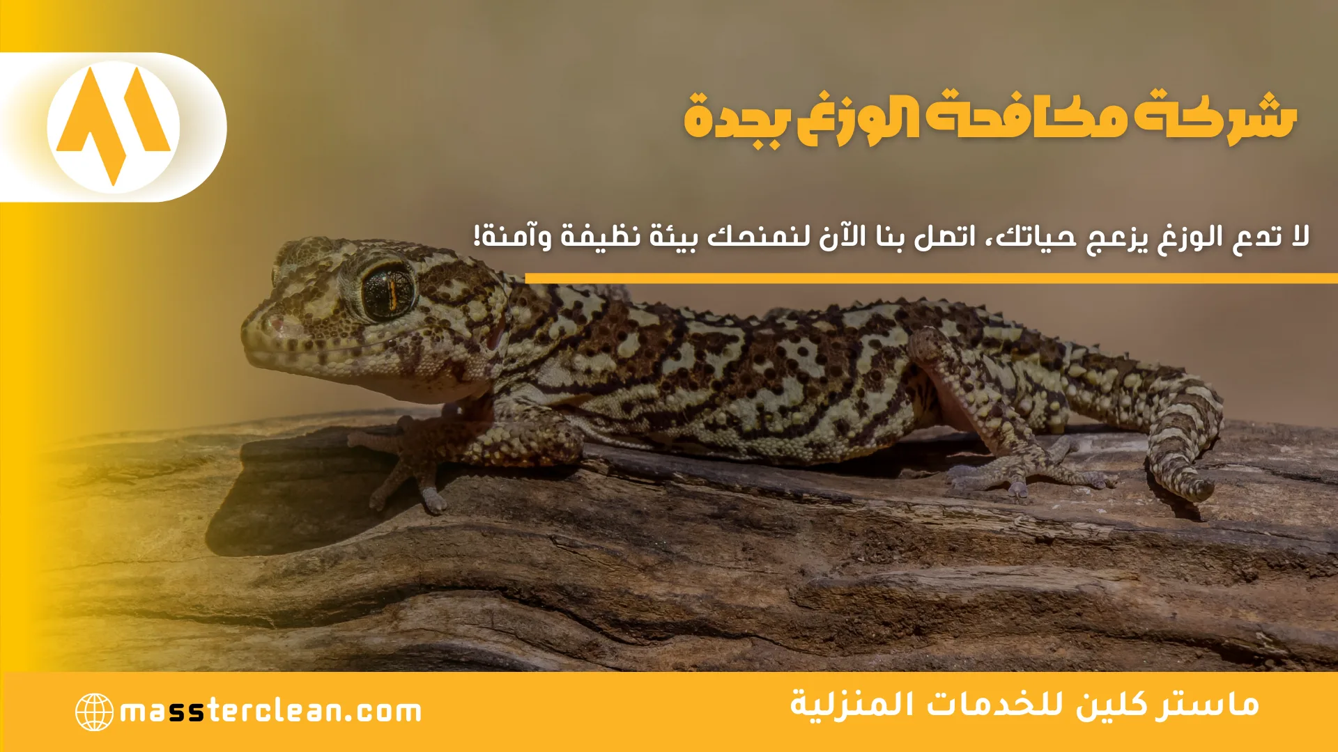 شركة مكافحة الوزغ بجدة