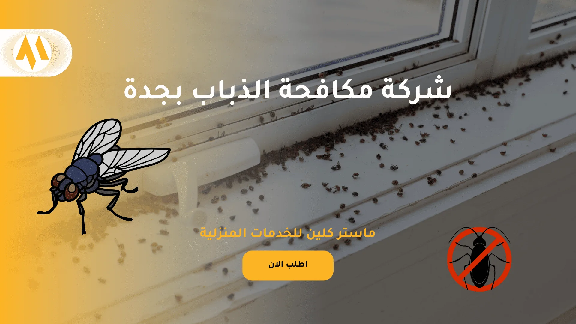 شركة مكافحة الذباب بجدة