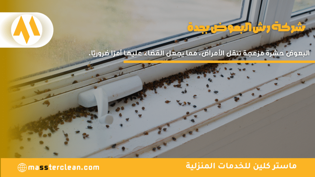 شركة رش البعوض بجدة