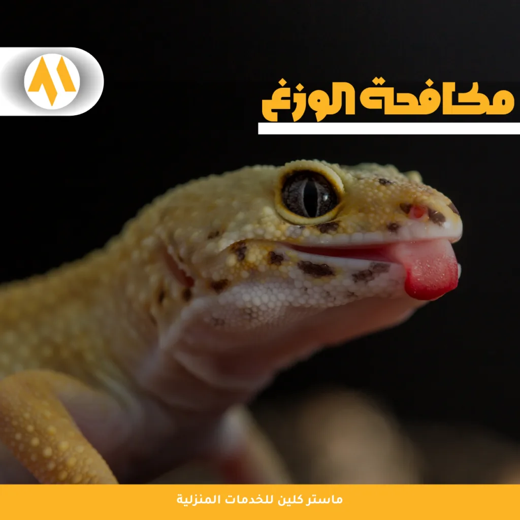 شركة مكافحة الوزغ بجدة