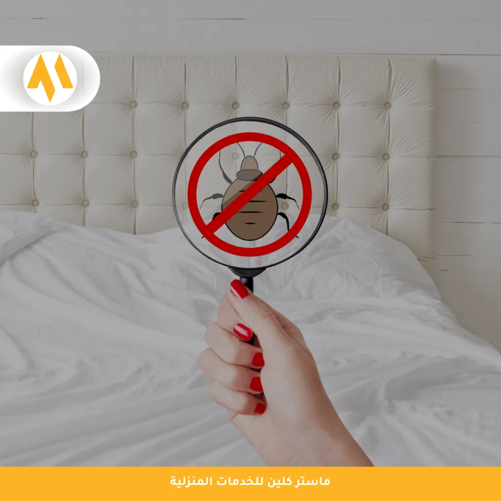 شركة مكافحة بق الفراش بجدة