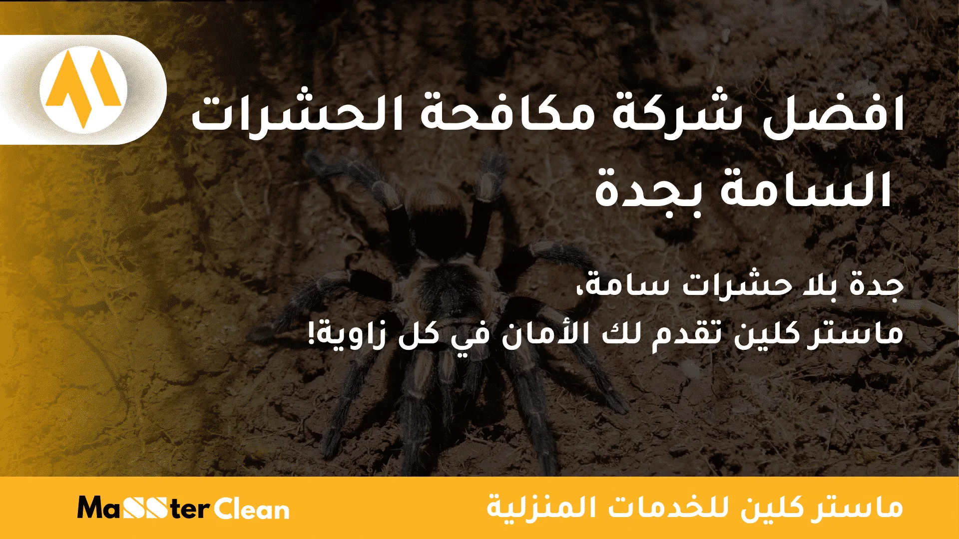 شركة مكافحة الحشرات السامة بجدة 