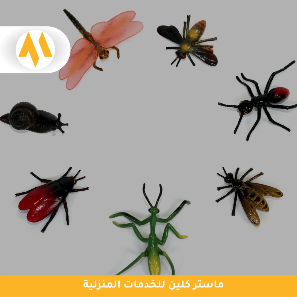شركة مكافحة الحشرات الطائرة بجدة