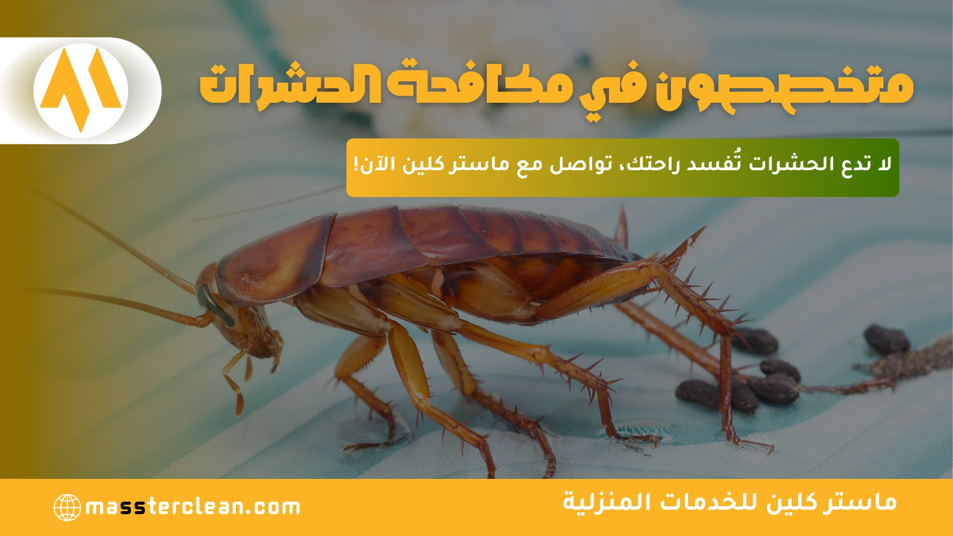 خدمات مكافحة الحشرات بجدة