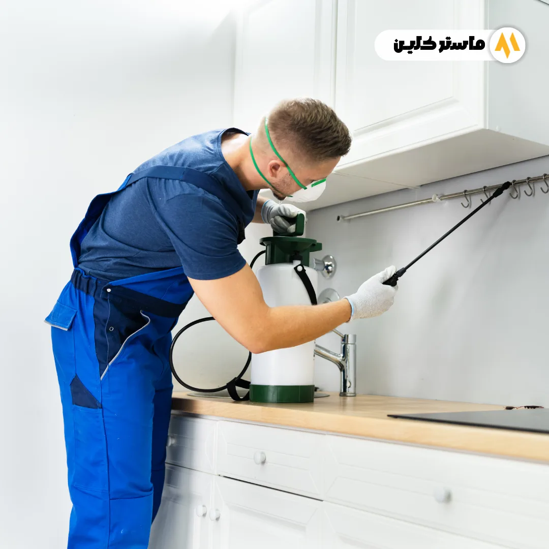 شركة مكافحة النمل الأبيض (العته) بمكة