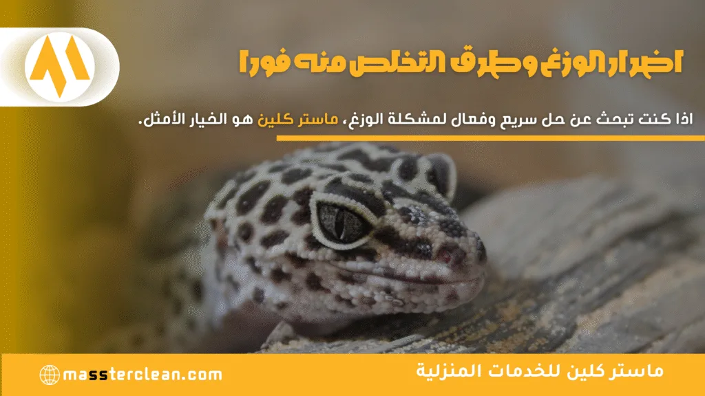 اضرار الوزغ وطرق التخلص منه