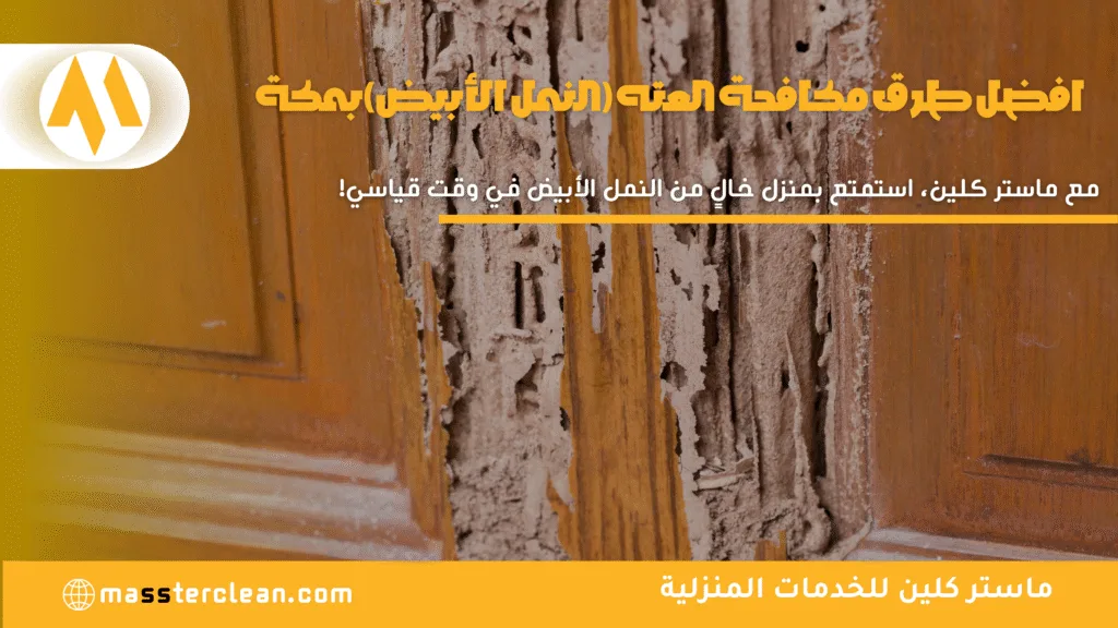 افضل طرق مكافحة العته (النمل الأبيض) بمكة