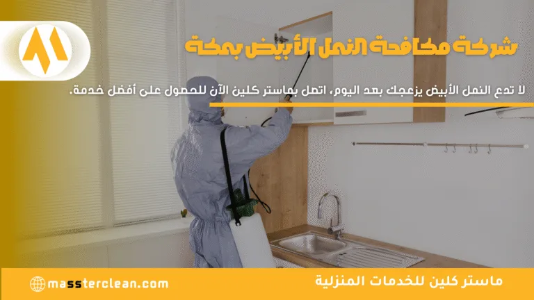 شركة مكافحة النمل الابيض بمكة